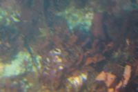 
DSC00036